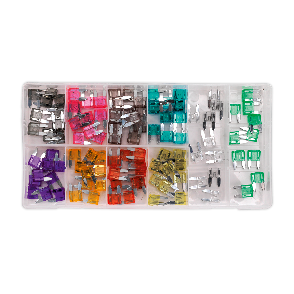 Automotive MINI Blade Fuse Assortment 100pc