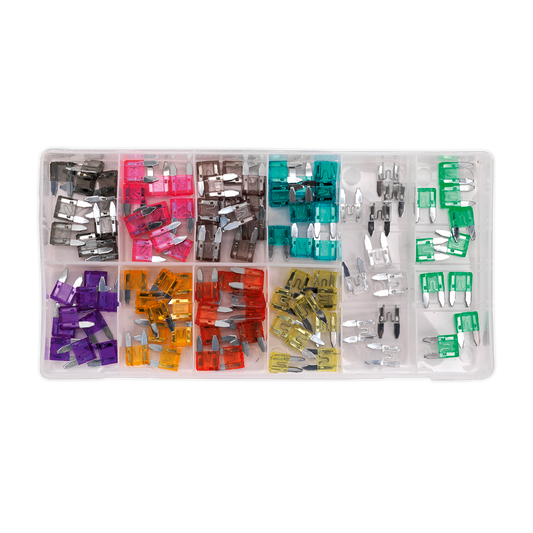 Automotive MINI Blade Fuse Assortment 100pc