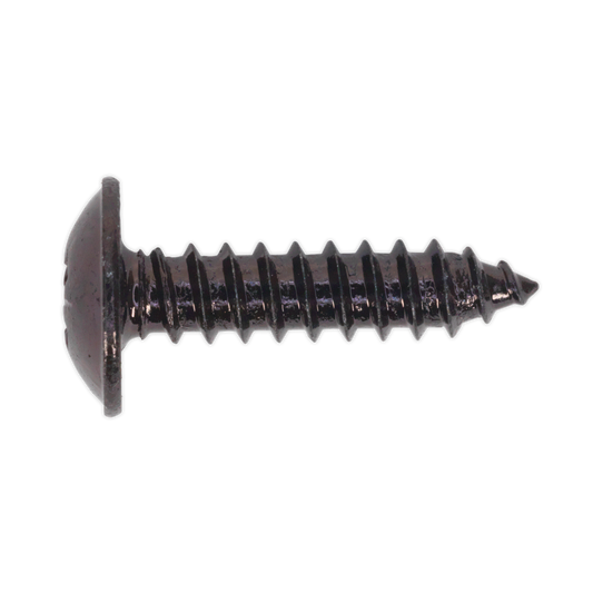 Self-Tapping Screw 4.8 x 19mm Flanged Head Black Pozi Pack of 100