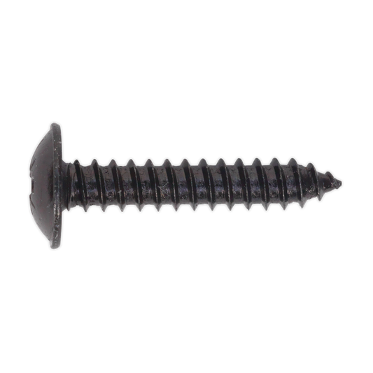 Self-Tapping Screw 4.8 x 25mm Flanged Head Black Pozi Pack of 100