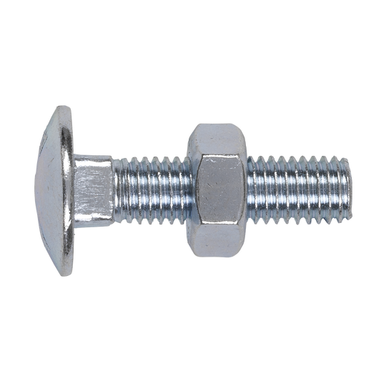 Coach Bolt & Nut M10 x 40mm Zinc Pack of 50