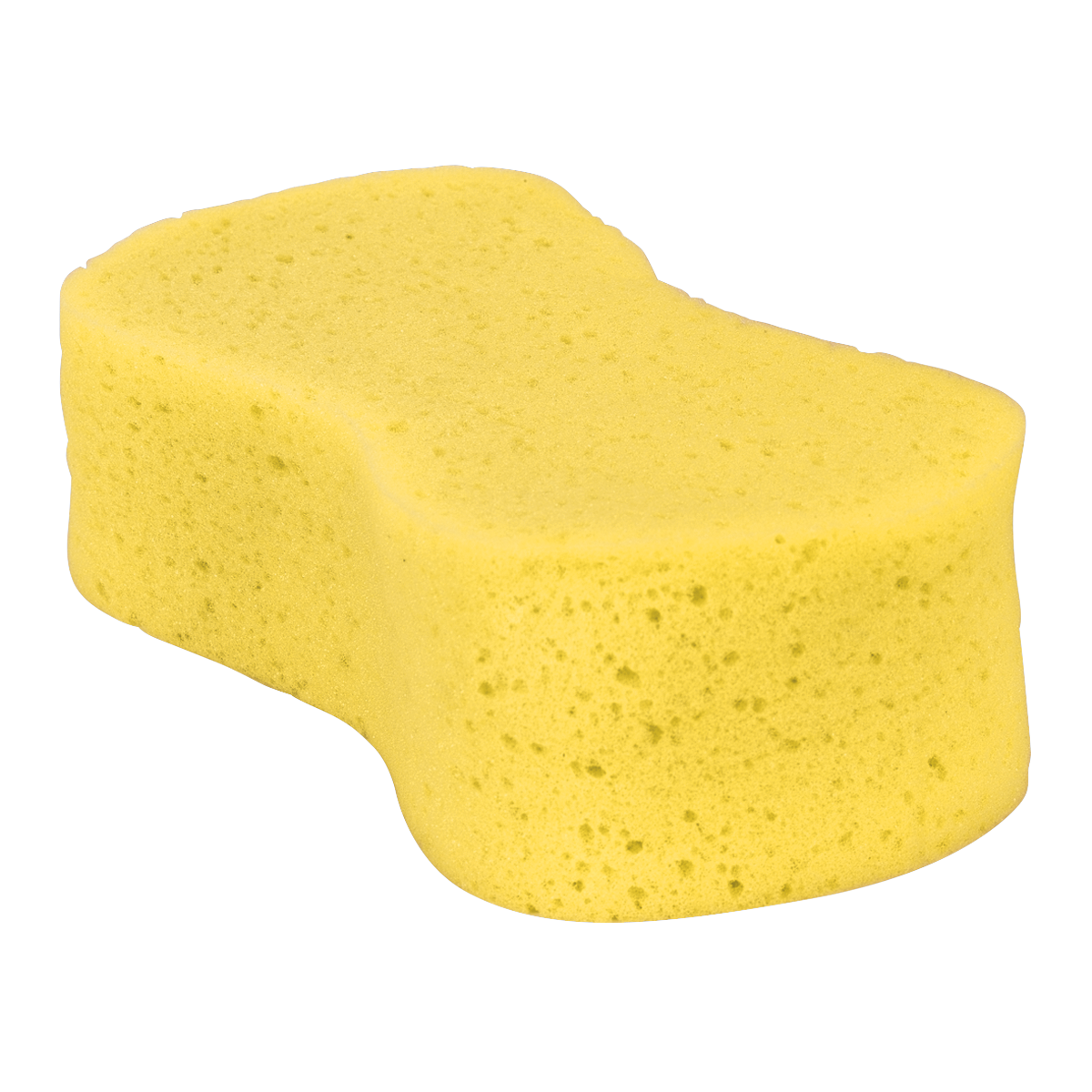 Large Sponge