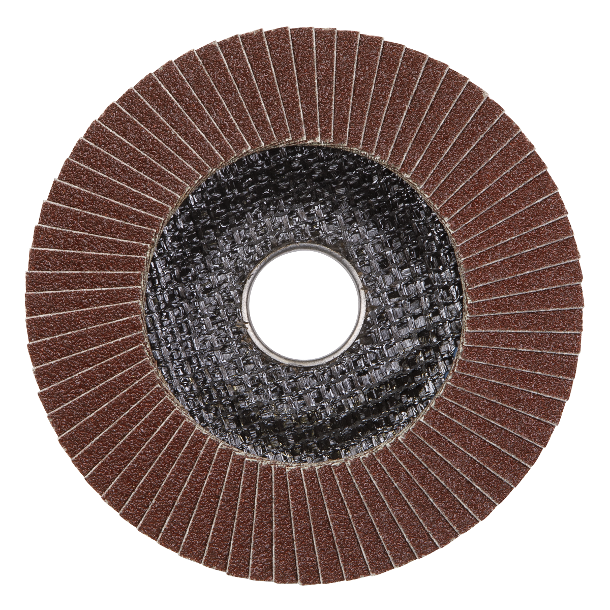 Flap Disc Aluminium Oxide Ø100mm Ø16mm Bore 40Grit