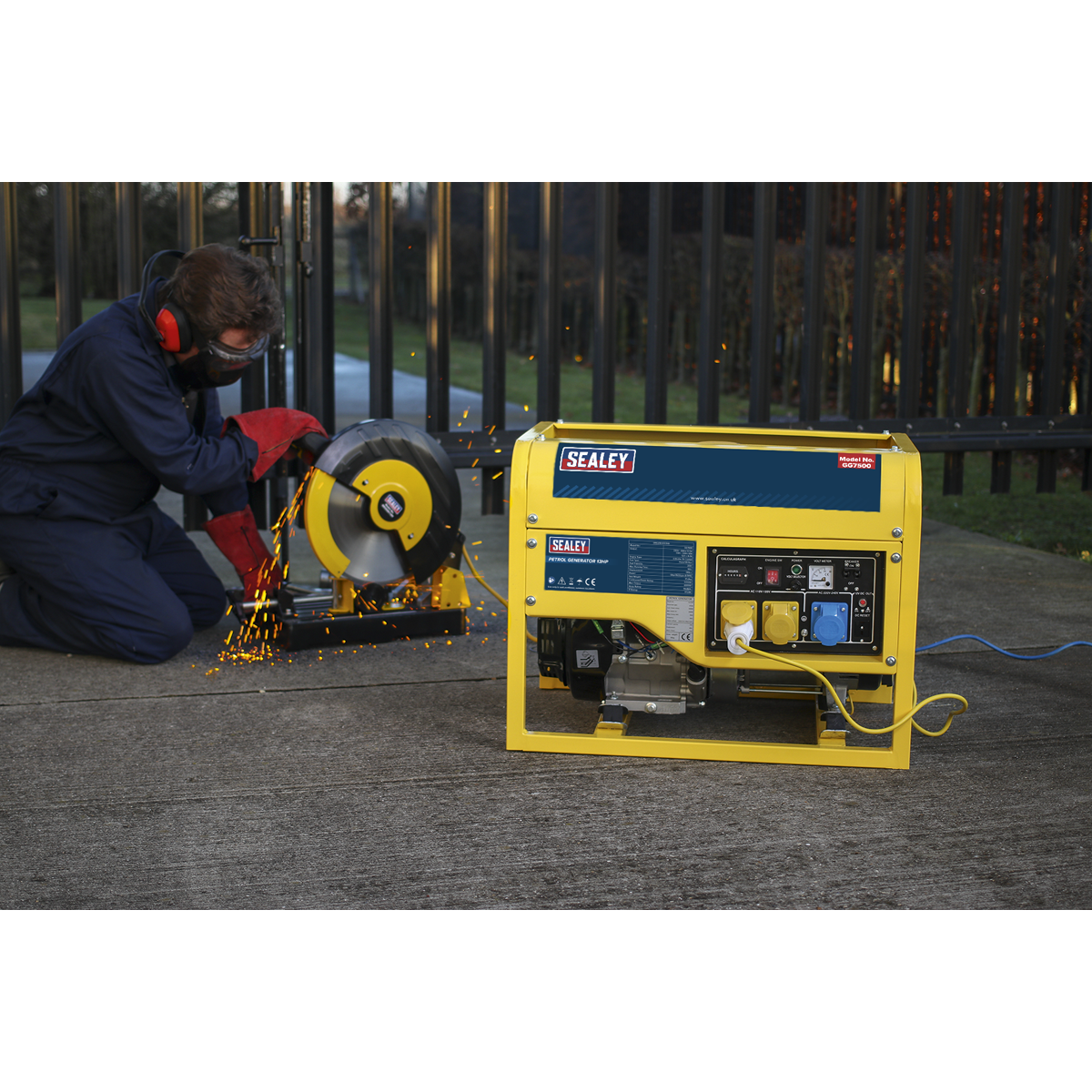 Generator 6000W 110/230V 13hp