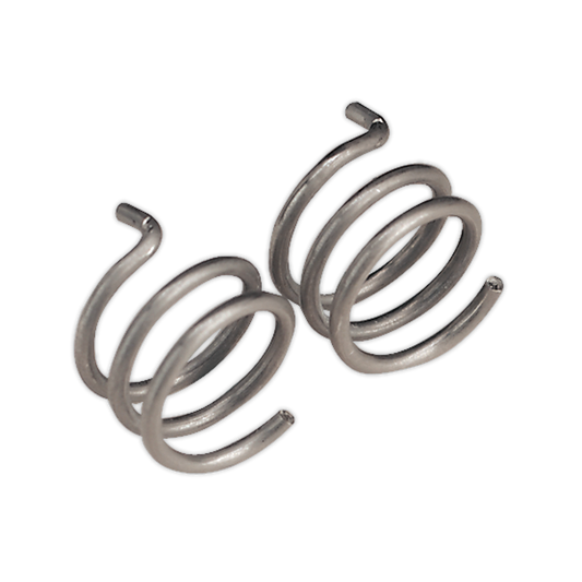 Nozzle Spring MB25/36 Pack of 2