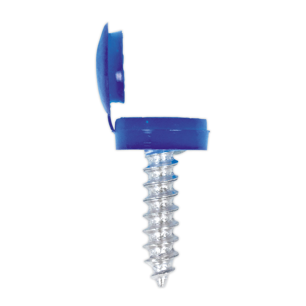 Numberplate Screw & Flip Cap 4.2 x 19mm Blue Pack of 50