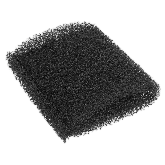 Foam Filter for PC20SD20V Pack of 10