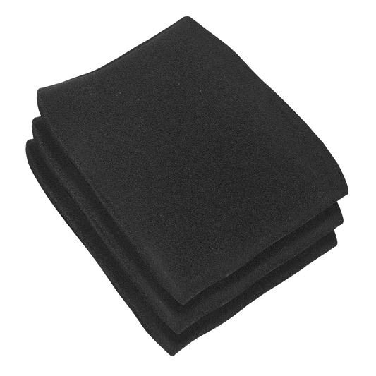 Foam Filter - Pack of 3