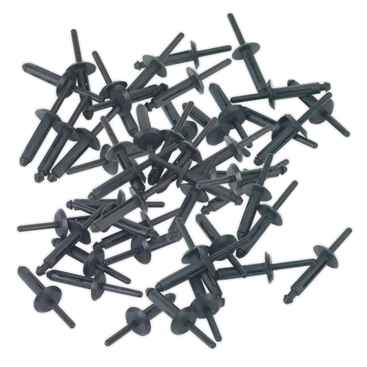 Plastic Rivet Ø6.3 x 25.2mm Pack of 50