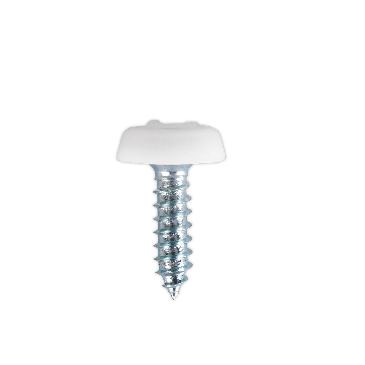 Numberplate Screw Plastic Enclosed Head 4.8 x 18mm White Pack of 50