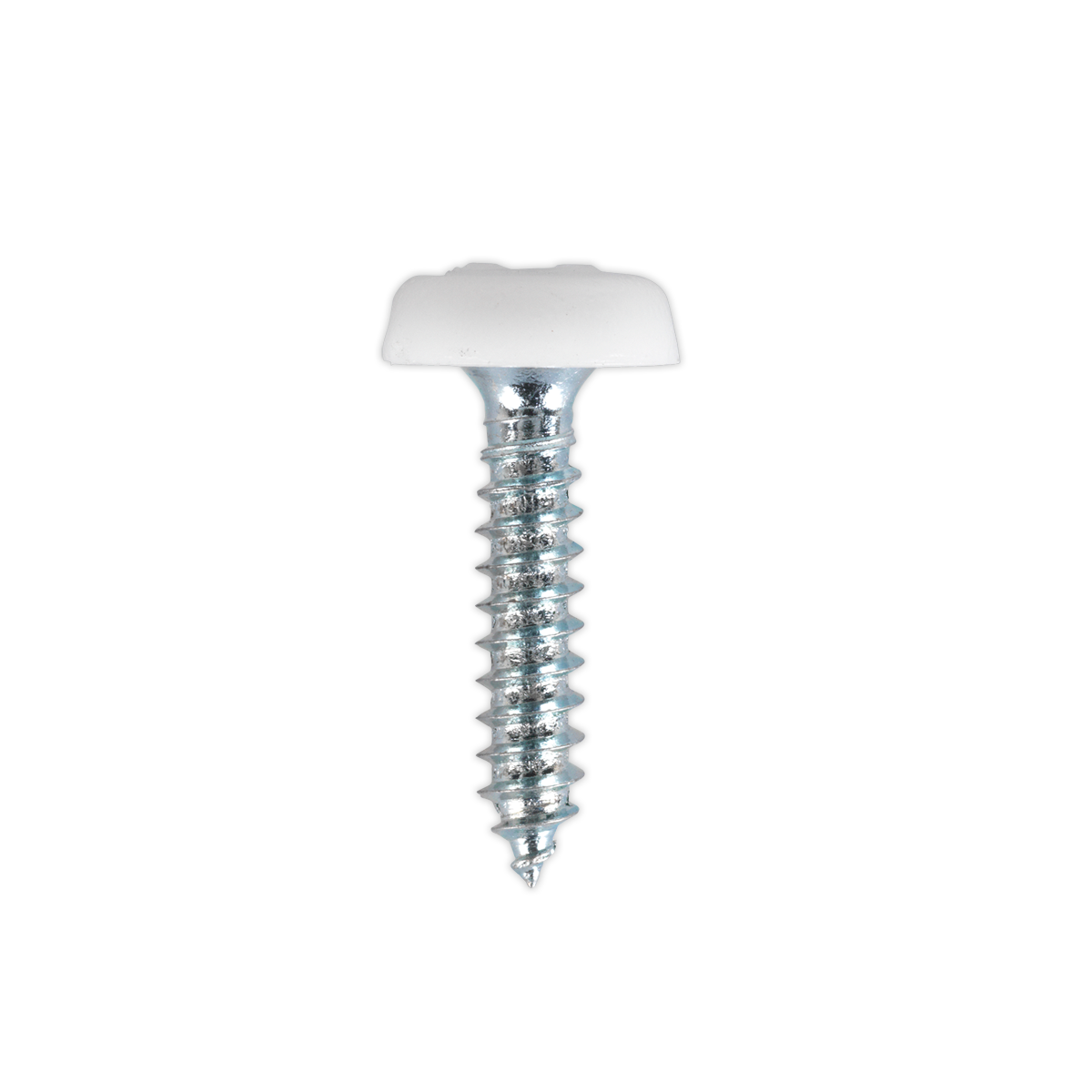 Numberplate Screw Plastic Enclosed Head 4.8 x 24mm White Pack of 50