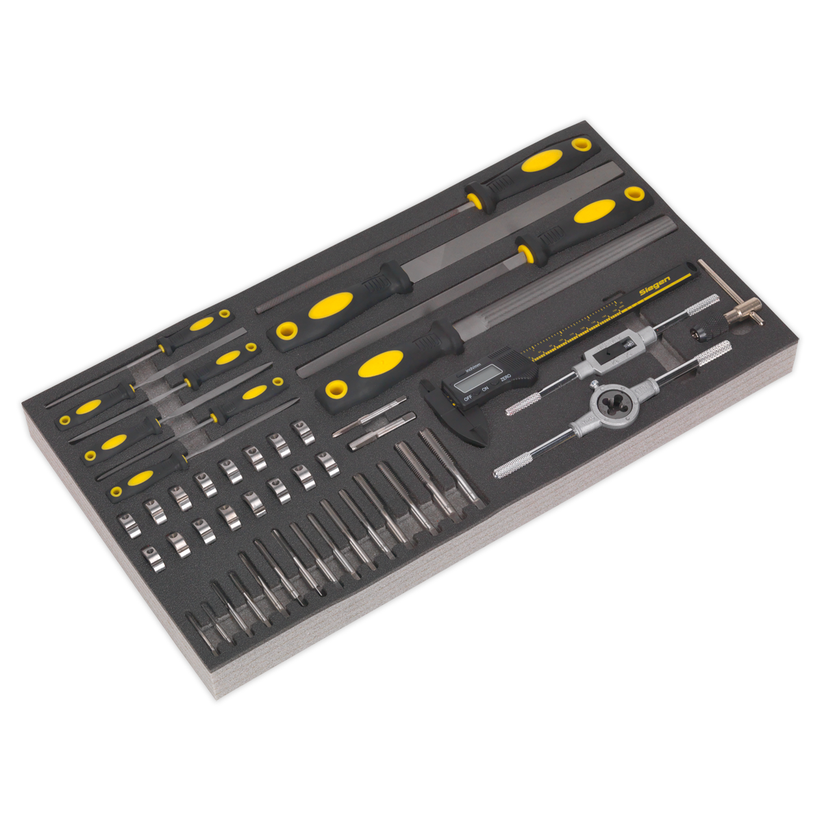 Tool Tray with Tap & Die, File & Caliper Set 48pc