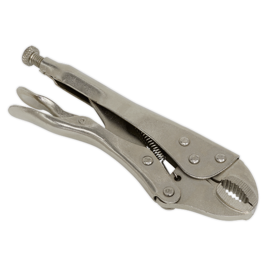 Locking Pliers 175mm Curved Jaw