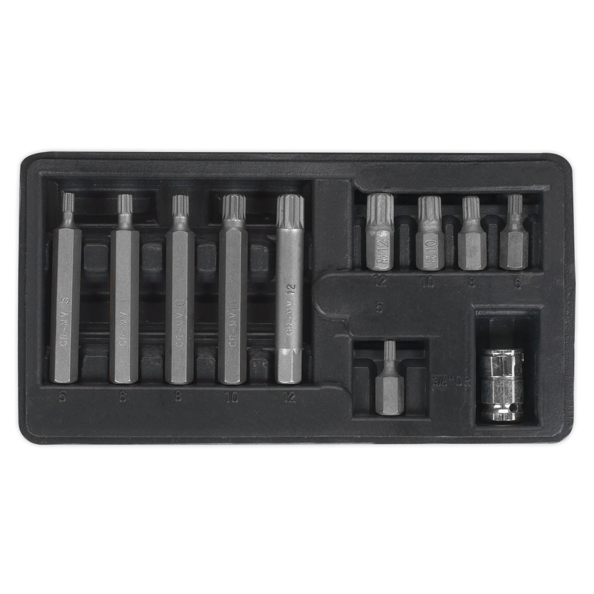 Spline Bit & Holder Set 11pc - 3/8"Sq Drive