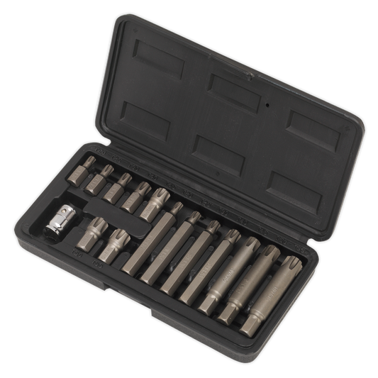 Ribe Bit & Holder Set 15pc - 3/8"Sq Drive