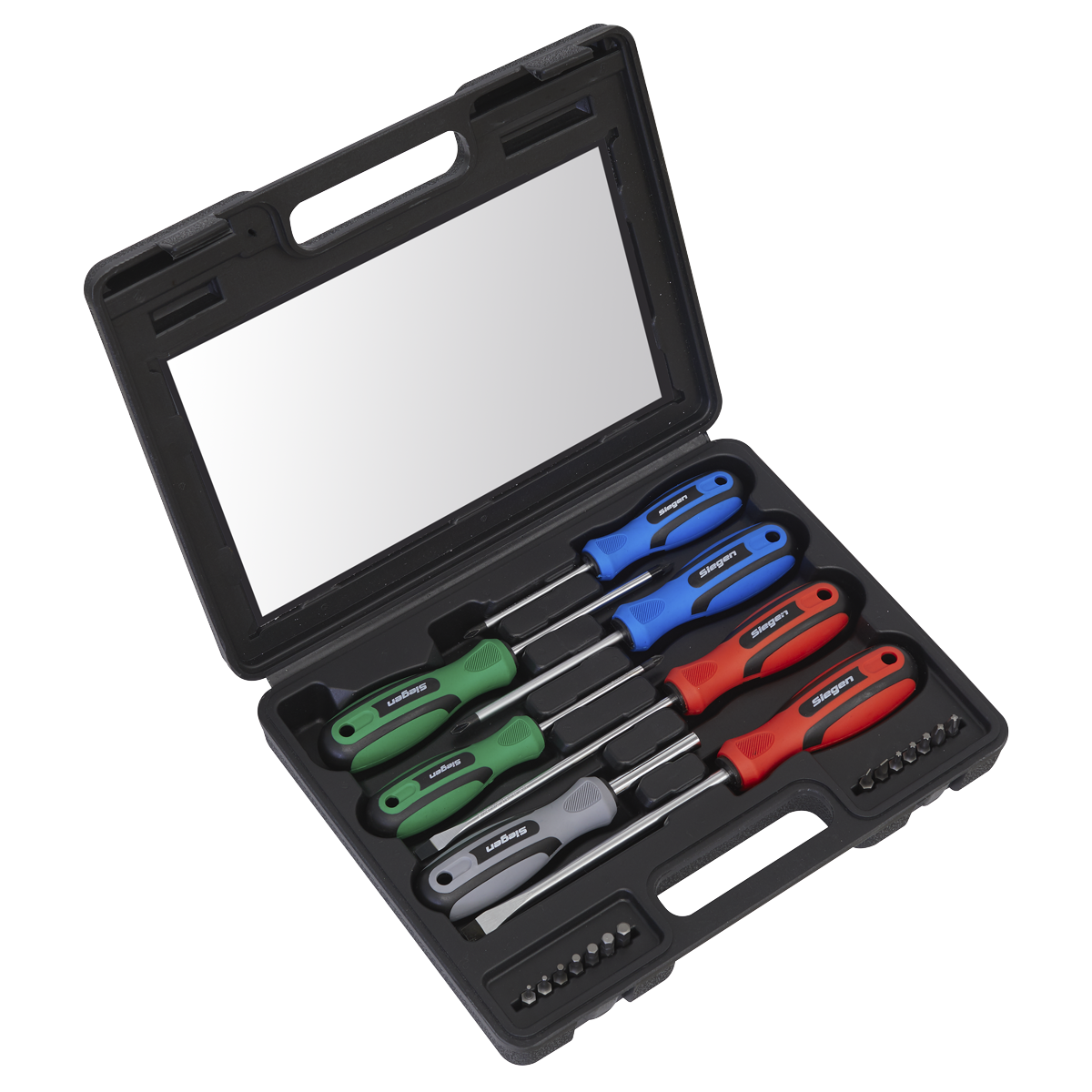 Screwdriver Set 21pc with Storage Case