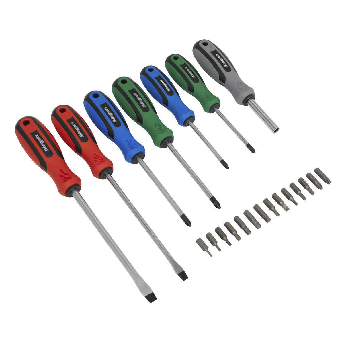 Screwdriver Set 21pc with Storage Case