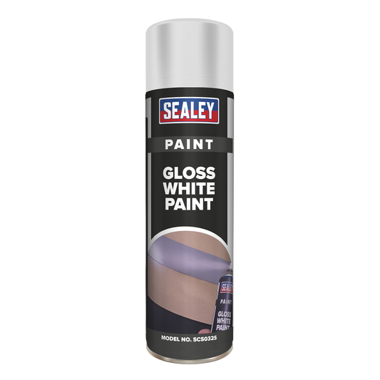 White Gloss Paint 500ml