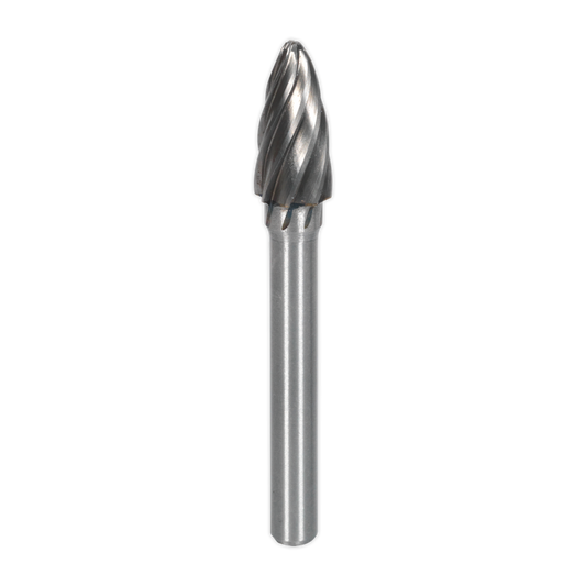 Tungsten Carbide Rotary Burr Oval Ripper/Coarse