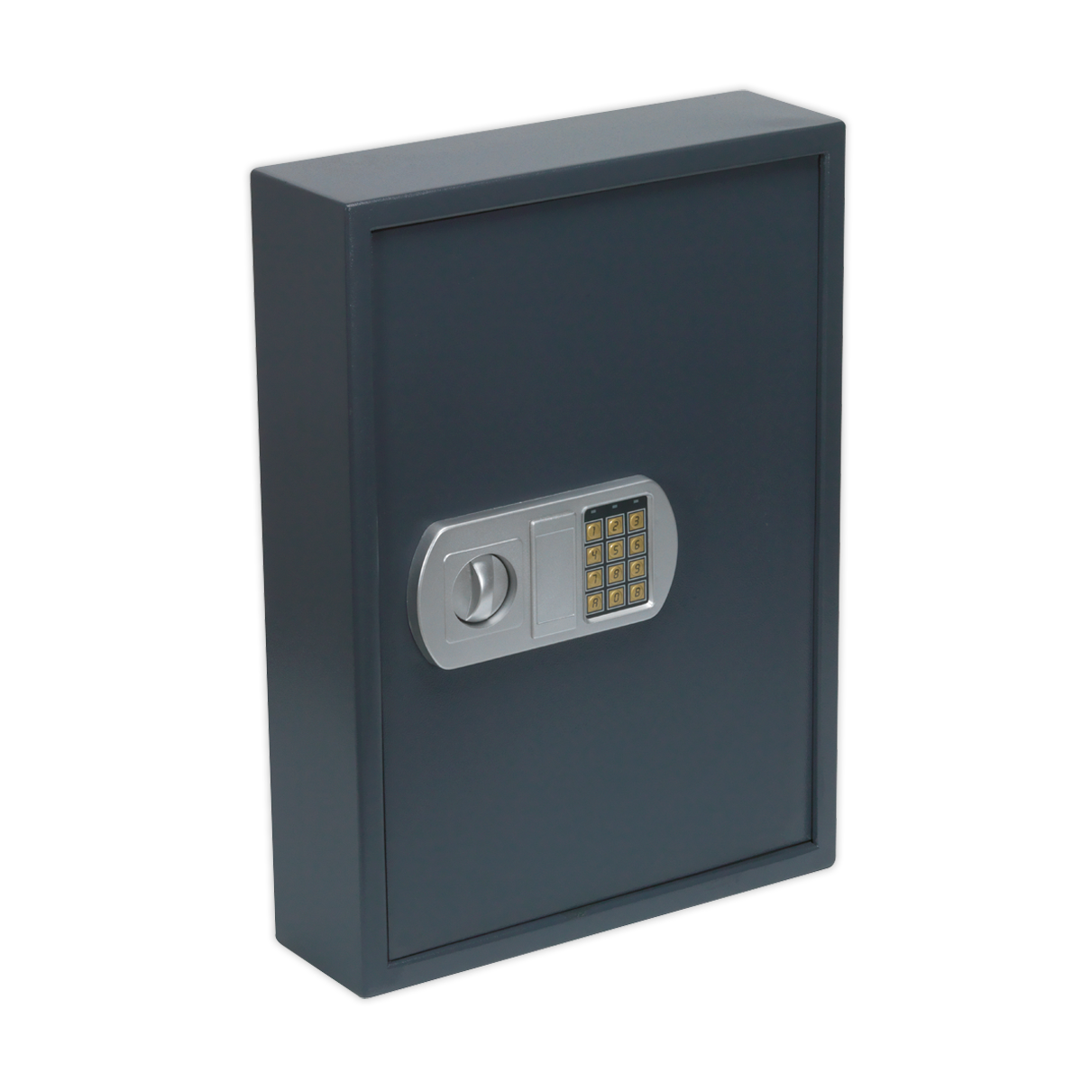 Electronic Key Cabinet 100 Key Capacity