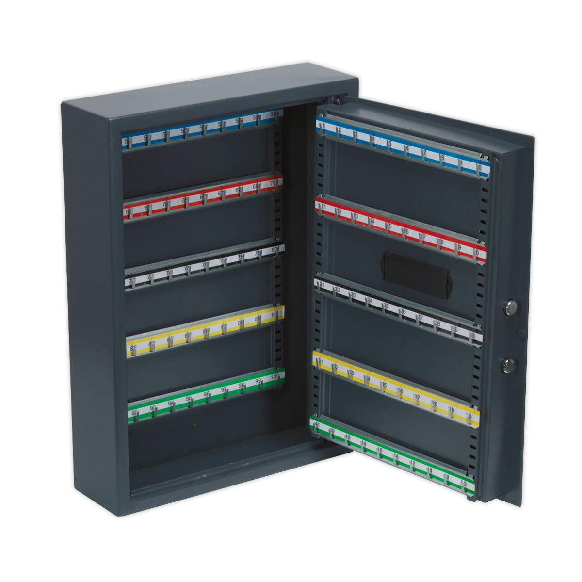 Electronic Key Cabinet 100 Key Capacity