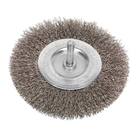 Flat Wire Brush Stainless Steel Ø100mm Ø6mm Shaft