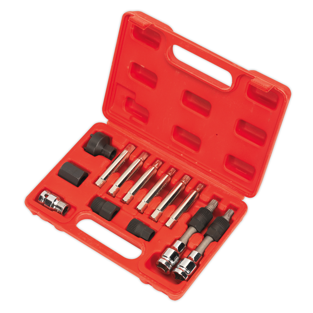 Alternator Freewheel Removal Set 13pc