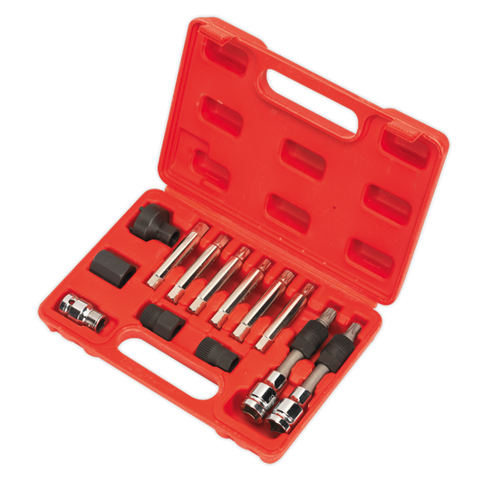 Alternator Freewheel Removal Set 13pc