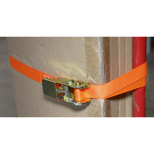 Self-Securing Ratchet Straps 25mm x 4.5m 500kg Breaking Strength - Pair