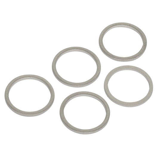 Sump Plug Washer M17 - Pack of 5