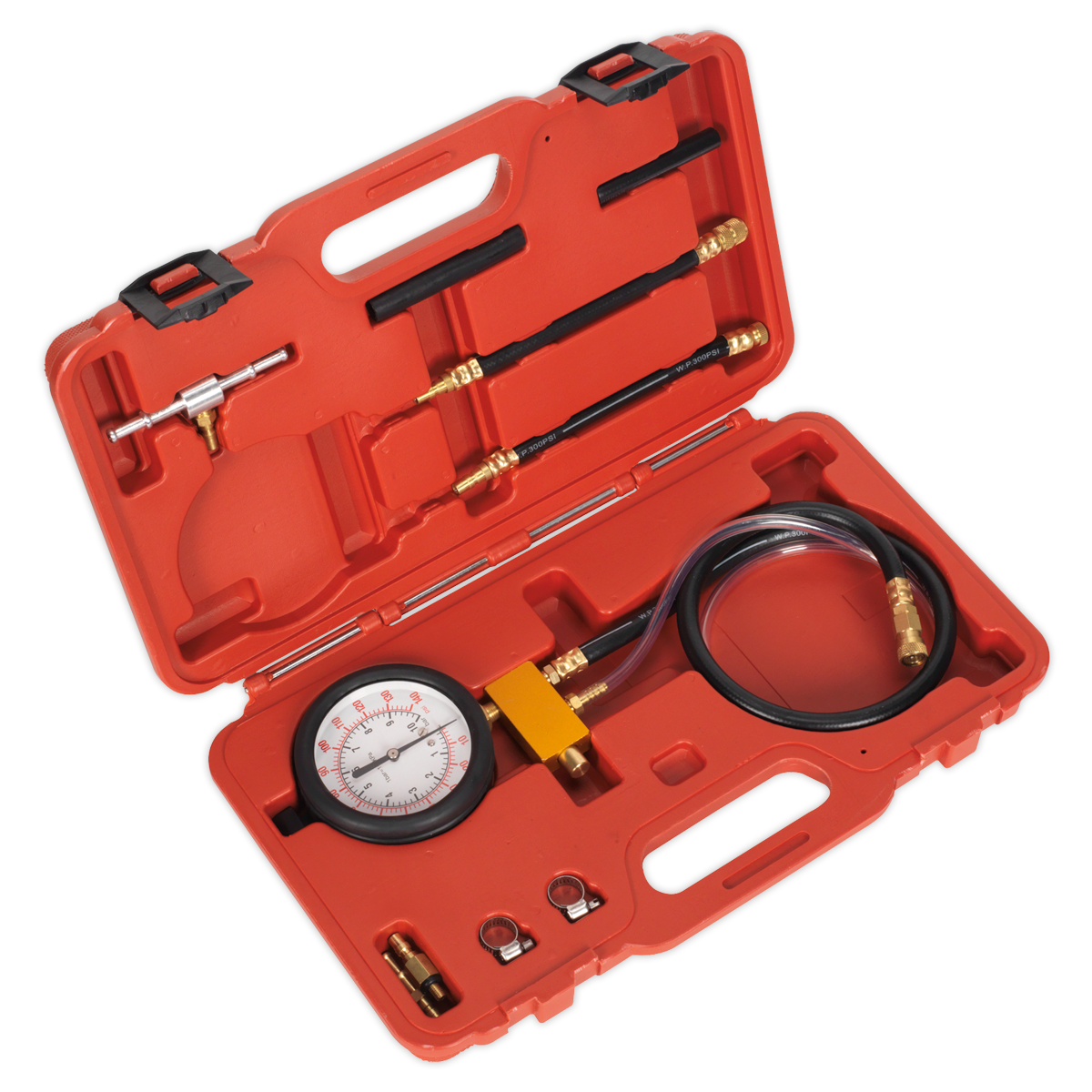 Fuel Injection Pressure Test Kit - Test Port