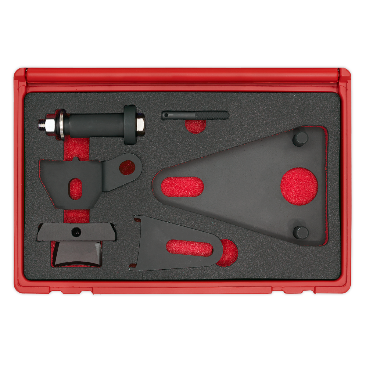 Front Pulley & Flywheel Locking Tool Set